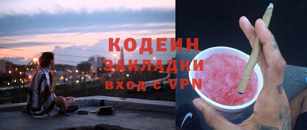 шишки Горно-Алтайск