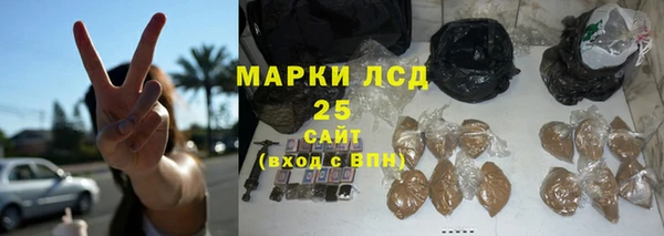 шишки Горно-Алтайск