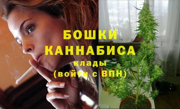 шишки Горно-Алтайск