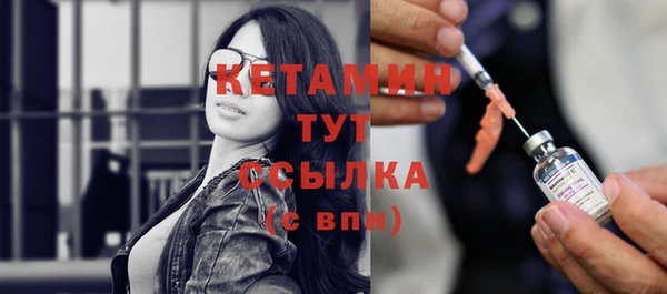 шишки Горно-Алтайск