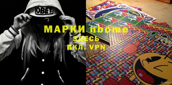 шишки Горно-Алтайск