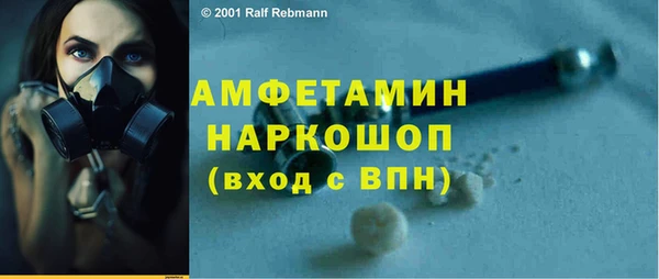 шишки Горно-Алтайск