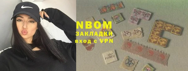 шишки Горно-Алтайск