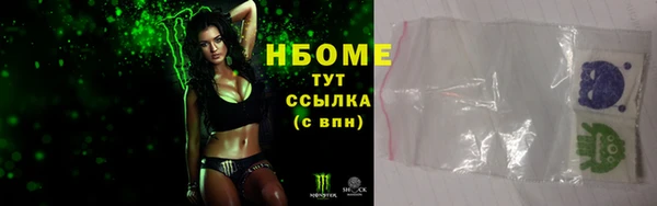 шишки Горно-Алтайск