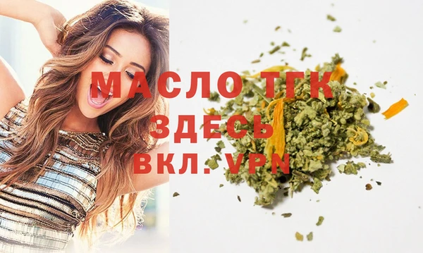 шишки Горно-Алтайск