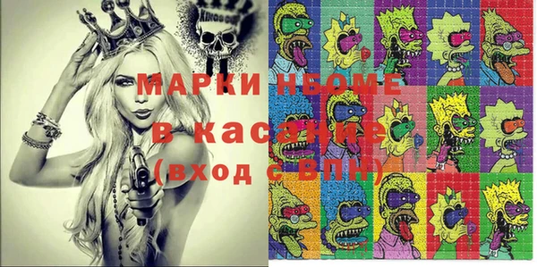 шишки Горно-Алтайск