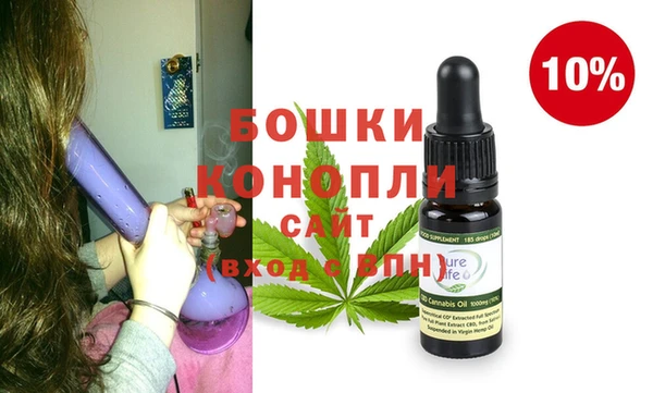 шишки Горно-Алтайск