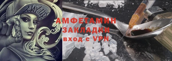 шишки Горно-Алтайск