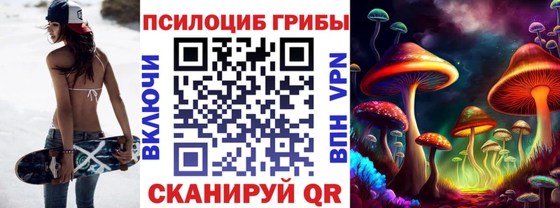 Псилоцибиновые грибы прущие грибы  Купить закладки  Кириллов 